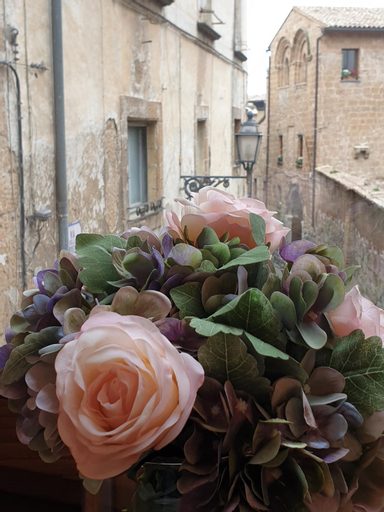 Others 5, Appartamento Mia, Terni