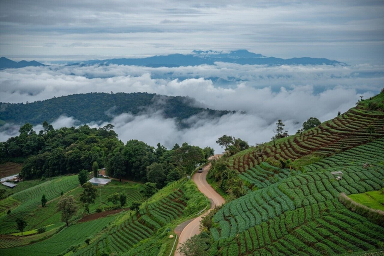Mon Sai Lom, Mae Rim