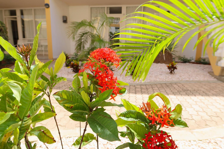 Others 3, Montana Eco Resort Aruba