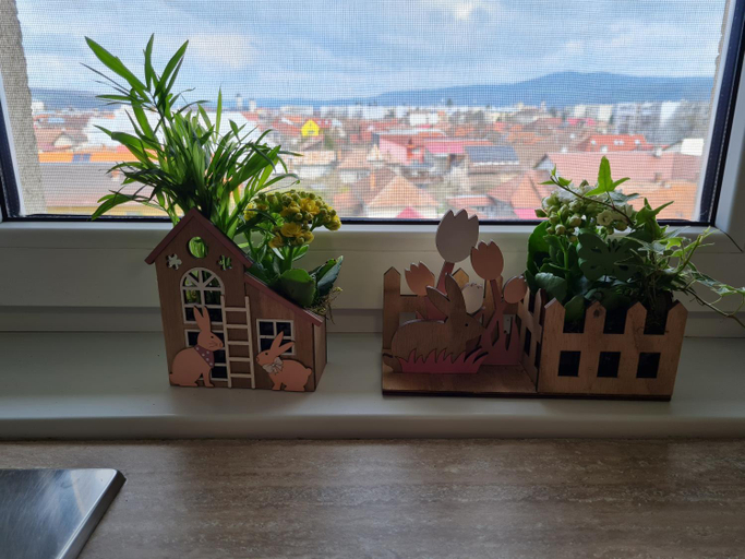 Others 2, Apartament Central, Gherla