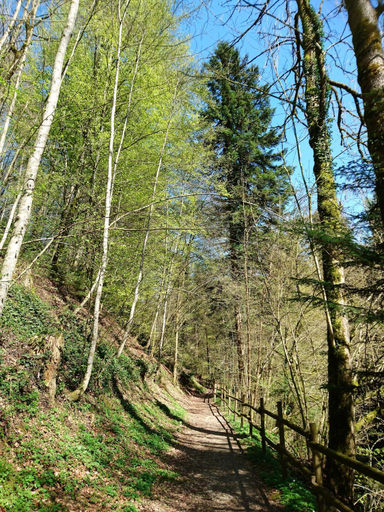 Others 3, Gasthaus zum Ochsen, See-Gaster