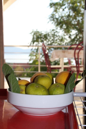 Others 5, Apartmani Andreja, Krk