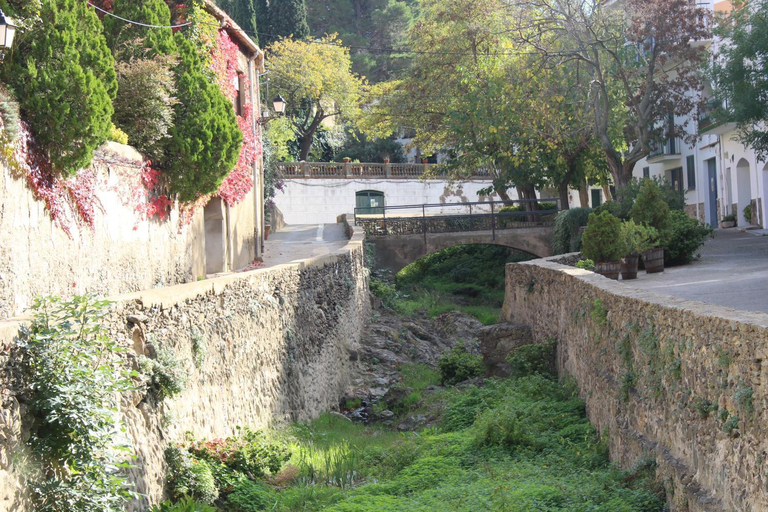 Others 5, Fonda Felip, Girona