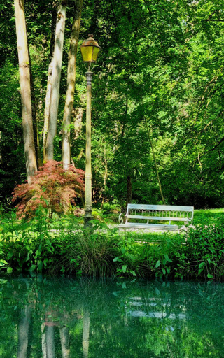Garden 4, Chateau de Bonneau (Val de Loire), Loir-et-Cher