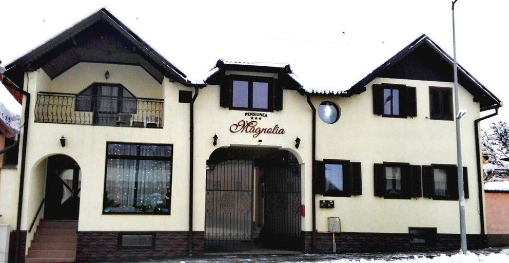 Others 4, Pensiunea Magnolia, Sibiu