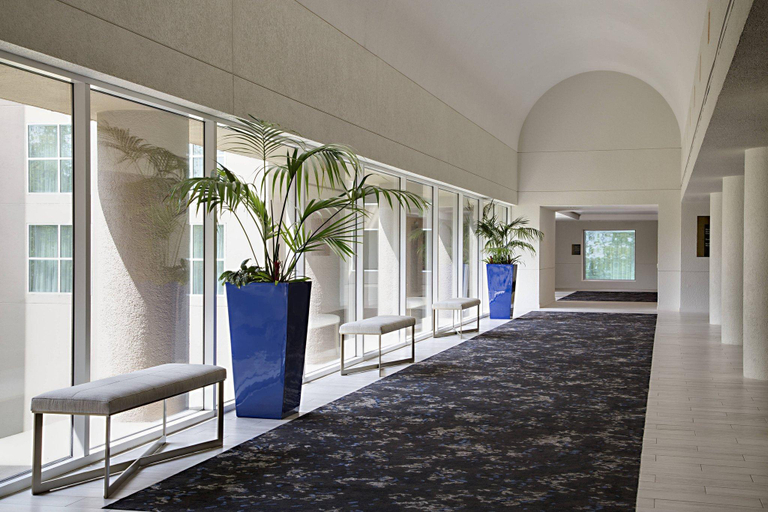 Public Area 5, The Ricardo Marriott® DFW Westlake, Tarrant