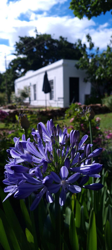 Others 2, Whipstock Guest Farm, Cape Winelands