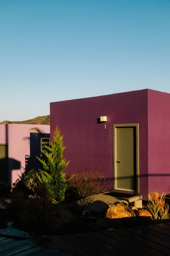 Flor de Cera, Ensenada