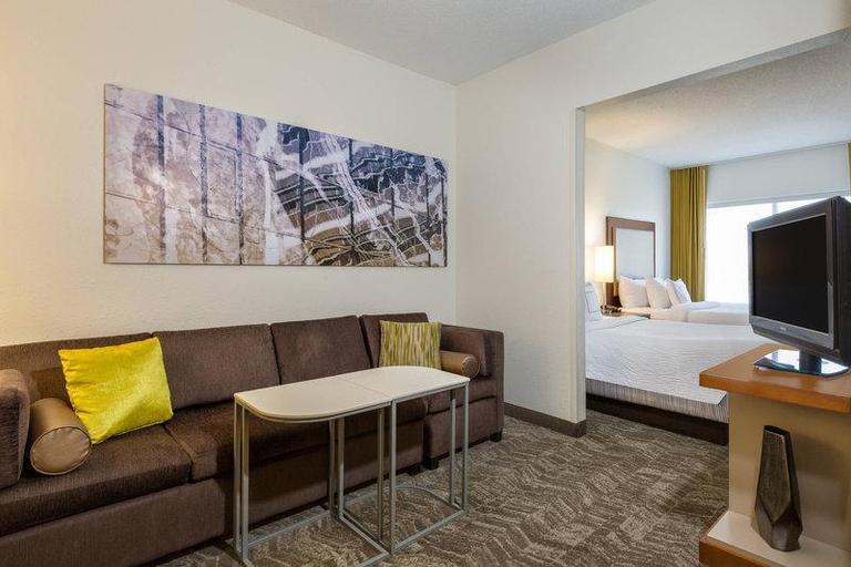Others 3, Springhill Suites By Marriott Louisville Hurstbourne North, Jefferson
