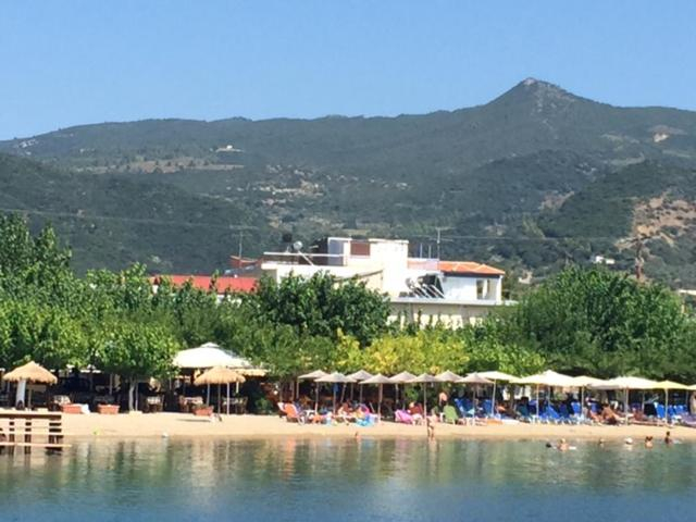 Others 5, 123 Armonia Studios, Central Greece