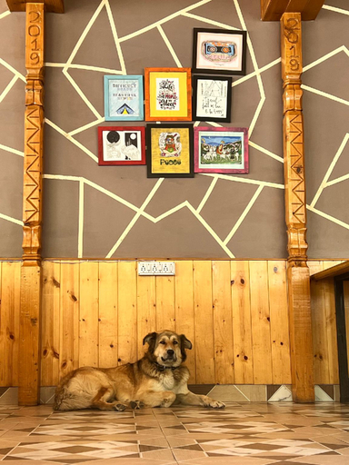 Food & Drinks 1, North Deodar Camps, Kasol, Kullu
