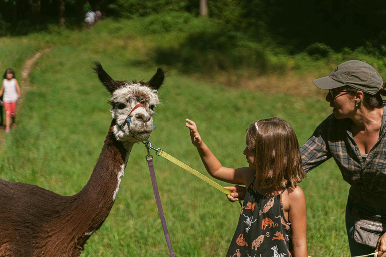 Others 2, Ca Stella Camping del Monte San Giorgio, Mendrisio