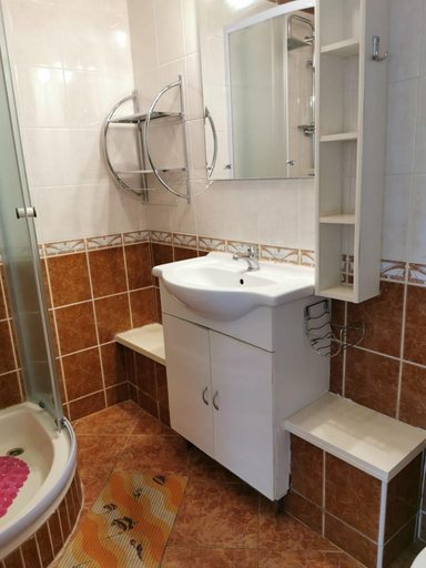 Bathroom 4, Zlato - With Pool - SA5 Maslina, Senj