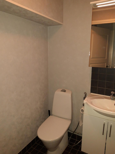 Bathroom, Jaalan Tienristi, Kymenlaakso