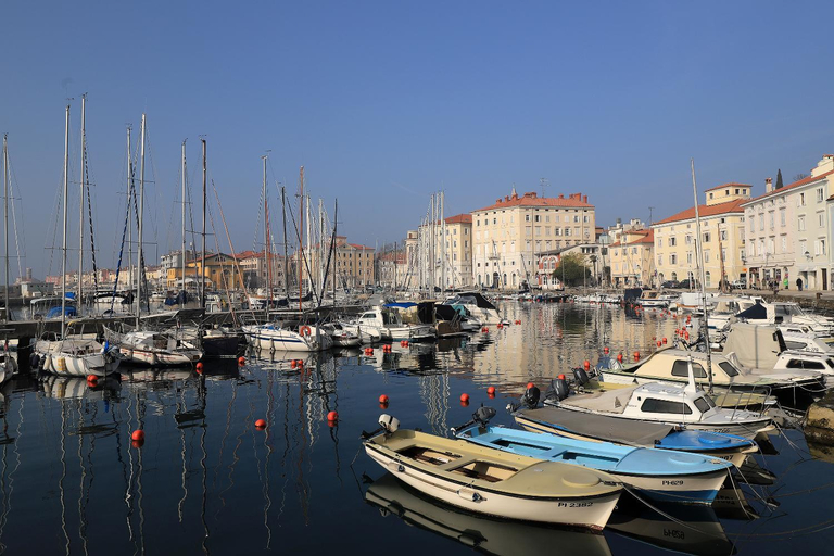 Others 3, Apartments VIP Residence, Piran