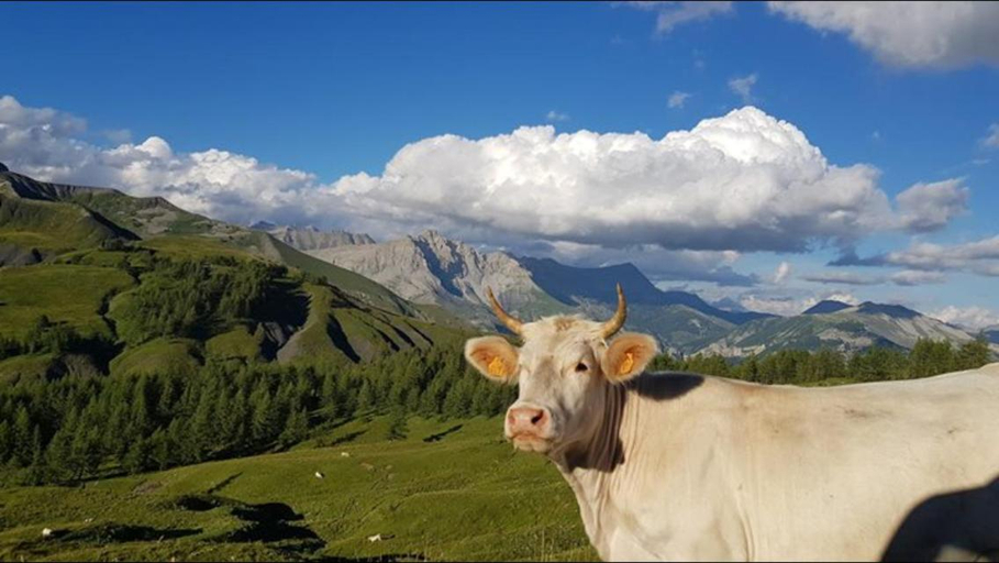 Others 4, Le Pelens, Alpes-Maritimes
