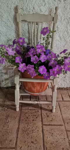 Others 5, Sole e Mare Family Apartments, Ionian Islands