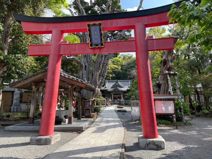 turtle house, Shimoda
