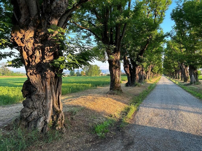 Others 5, AGRITURISMO LE CORTI DELLA GUALDANA, Pavia