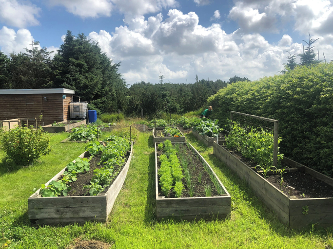 Others 5, Noah's Ark Homestay, Thisted