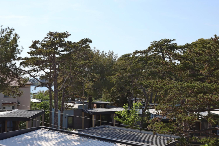 Others 5, Apartments and rooms by the sea Banjol, Rab - 19692, Lopar/Supetarska Draga