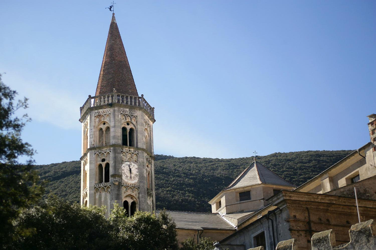 Palazzo Aycardi, Savona