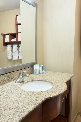 Bathroom 4, Hampton Inn & Suites Chicago Deer Park, Cook