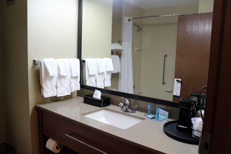 Bathroom 4, Best Western Delta Inn, Effingham