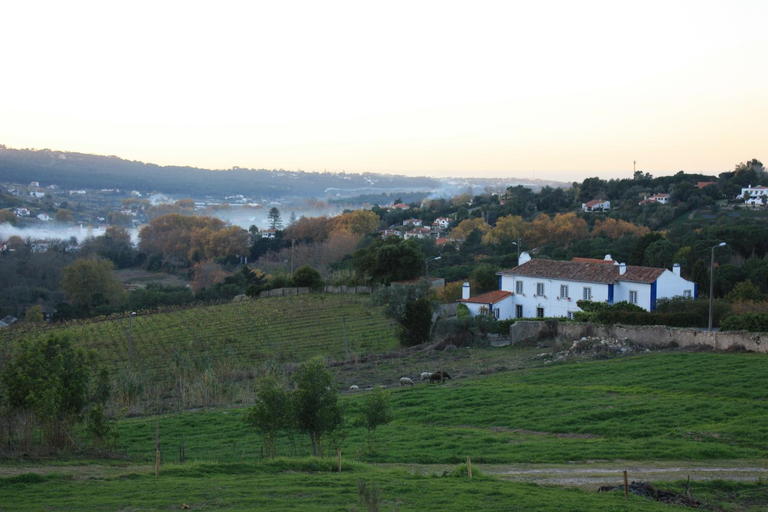 Others 4, Eugaria Country House by Lost Lisbon, Sintra