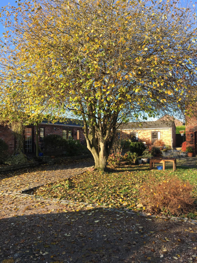 Others 4, The Barn Bed and Breakfast, Halton