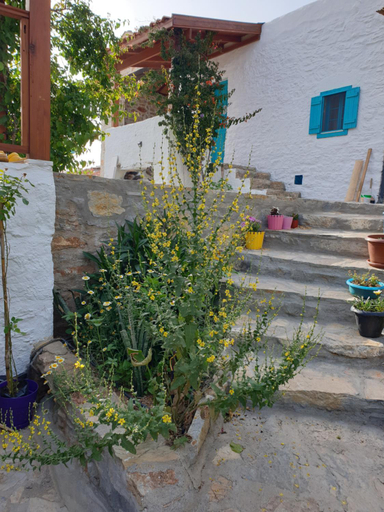 Others 3, Gunesli Tepe Datca, Datça