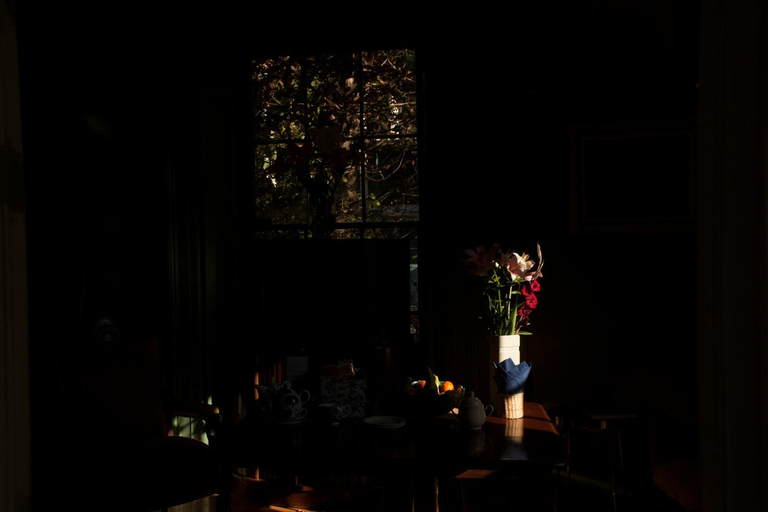 Others 4, The Historical Harcourt Suites, Dublin