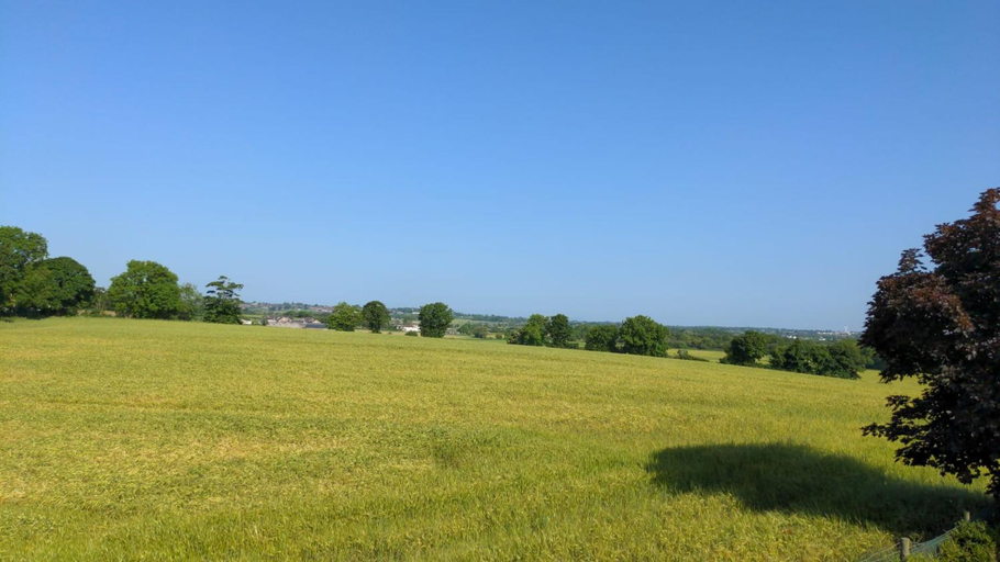 Others 3, Valley Stream Guest Accommodation, Lisburn and Castlereagh
