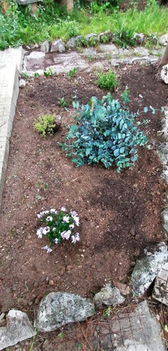 Others 4, Il Giardino di Maura - Aemme2, Macerata