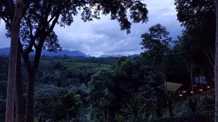 Scenery 2