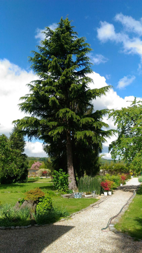 Others 2, Le Jardin Des Erables, Eure