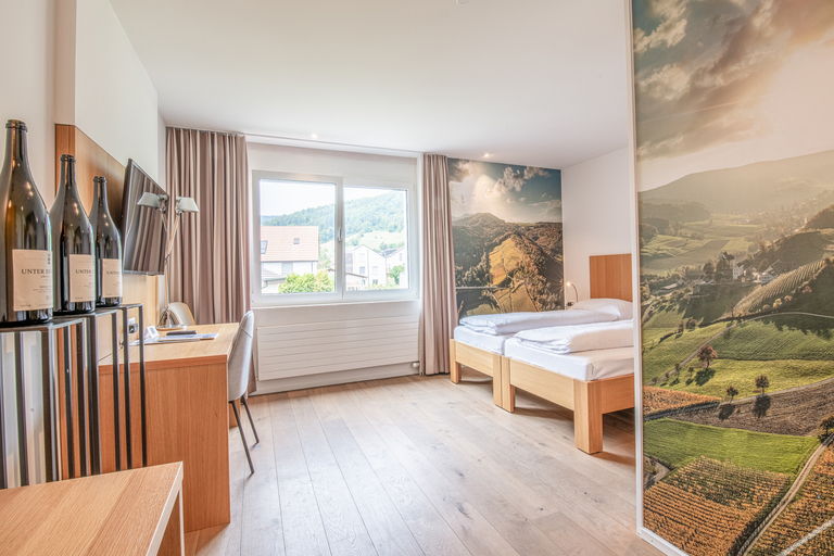 Bedroom 3, Hirschen Erlinsbach Swiss Quality, Gösgen