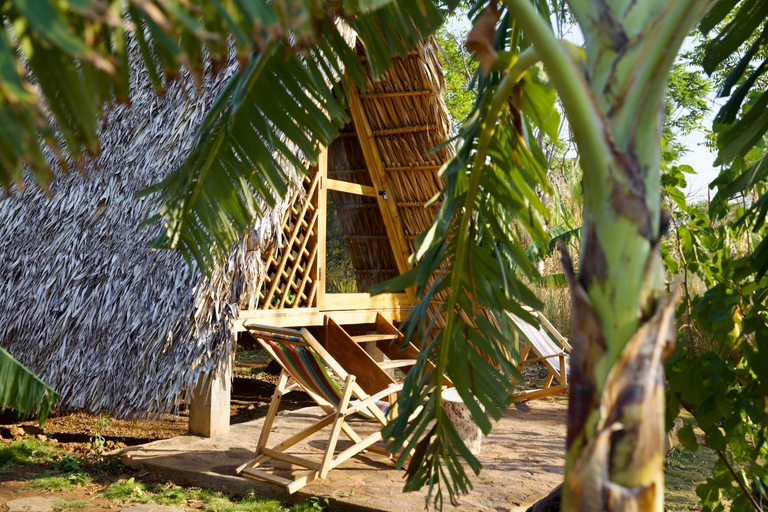 Others 4, Dragon's Garden, Altagracia