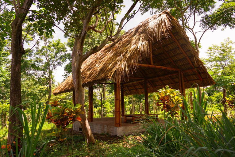 Others 3, Dragon's Garden, Altagracia