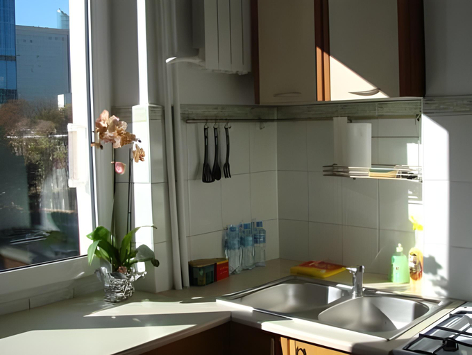 Others 5, Downtown Apartment, Warsaw