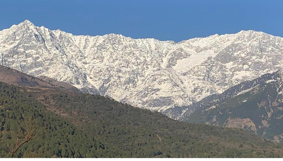 2, Riva dreams, Kangra