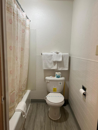 Bathroom 4, Central Motel, Morgan