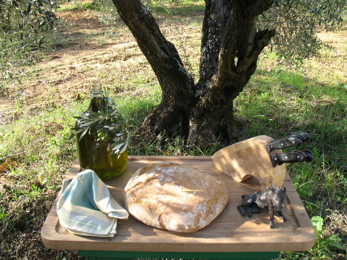 Food & Drinks, AGRITURISMO LE CERBONCHE, Livorno