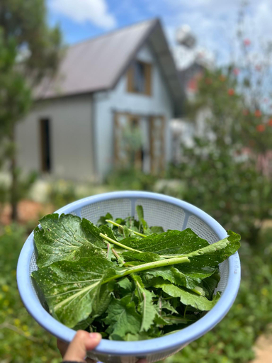 Food & Drinks 5, Homestay - Nhà cỏ Lâu Đà Lạt, Đà Lạt