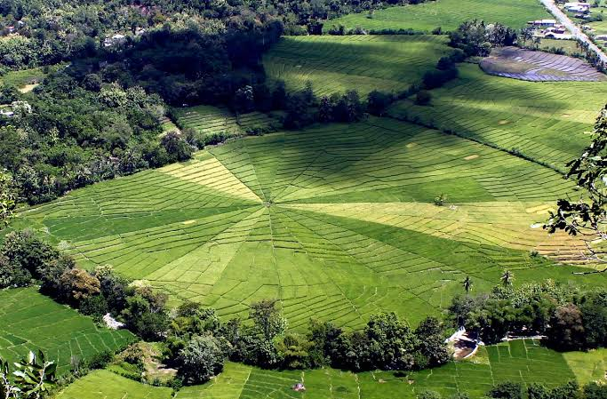 Others 2, Tado Homestay, West Manggarai