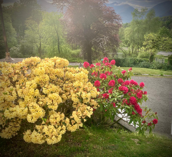 Others 4, Glenorchy Lodge Hotel-Rooms Only, Argyll and Bute