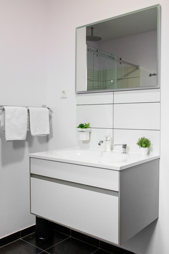 Bathroom 2, Apartments Dora Sveti Martin na Muri, Sveti Martin na Muri