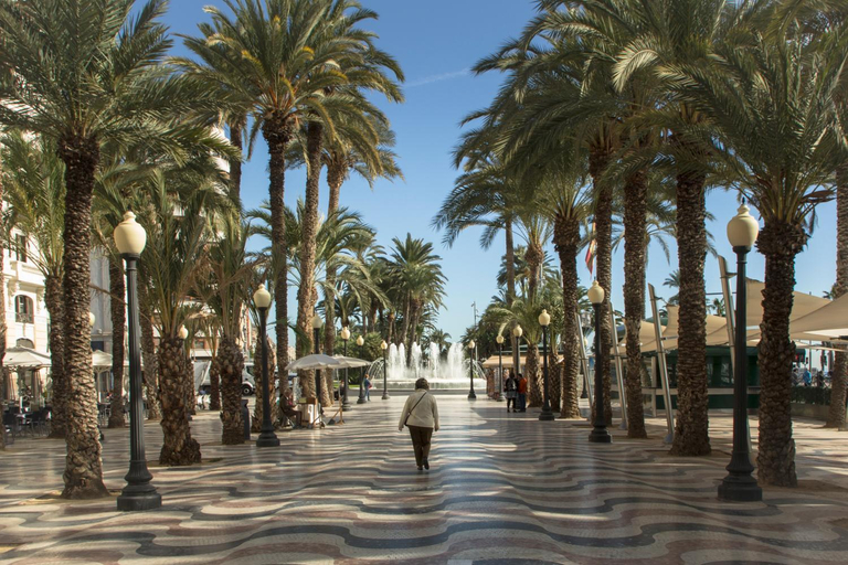 Others 5, Casa de la Pina, Alicante
