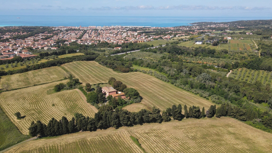 Others