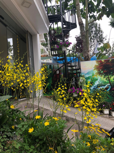Others 3, Thu Linh Guesthouse, Đà Lạt